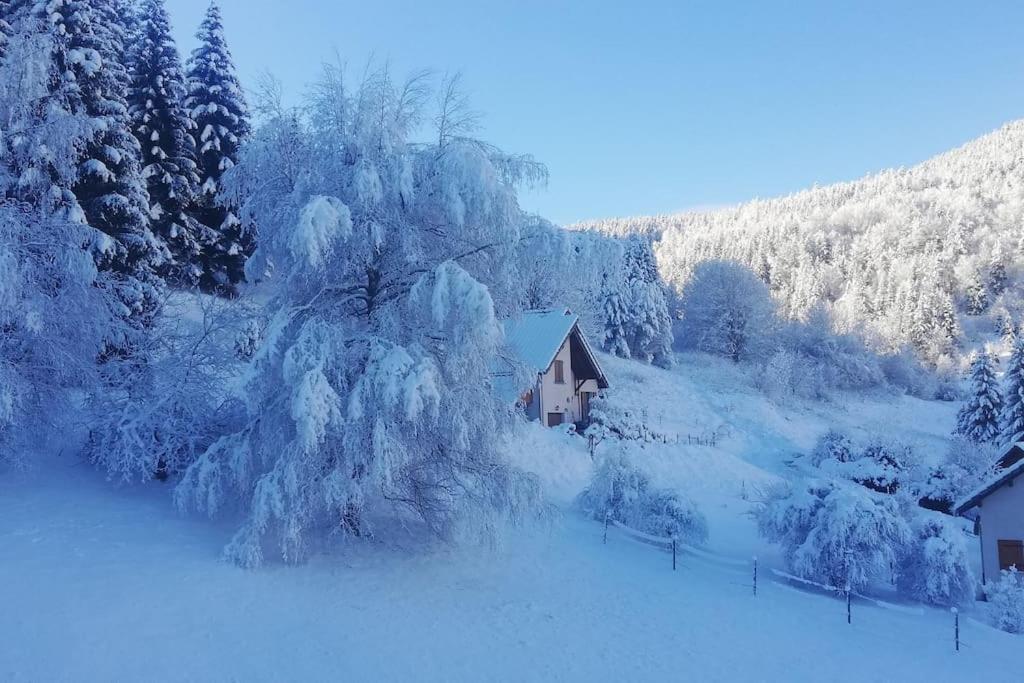 Studio Chaleureux A Villard De Lans Eksteriør bilde